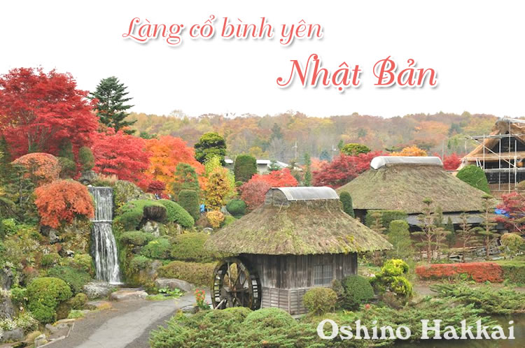 Oshino Hakkai – Thăm ngôi làng cổ của nước Nhật