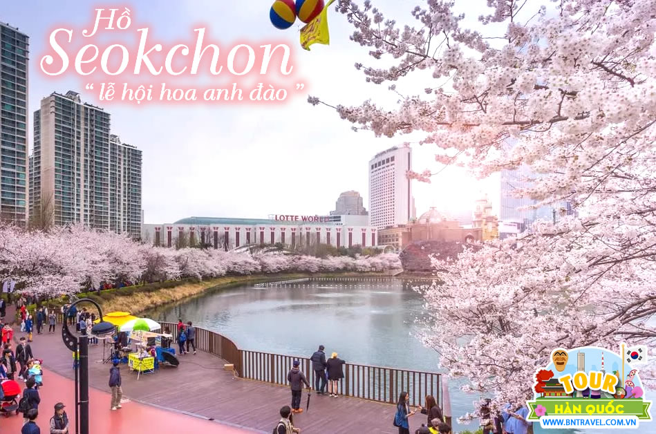 Đi hồ Seokchon tham gia lễ hội hoa anh đào đầy sắc màu