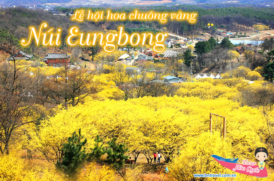 lễ hội hoa chuông vàng Eungbong